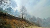 Büyük panik! Orman yanıyor alevler lodosun etkisi ile  yayılıyor